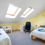 Apartment Large And Cozy 2-level