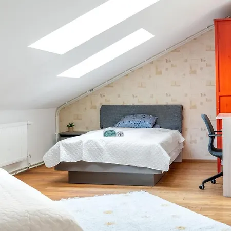 Large And Cozy 2-level Διαμέρισμα