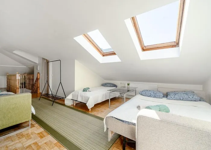 Large And Cozy 2-level タリン