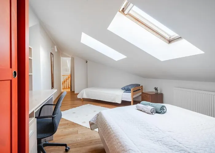 Large And Cozy 2-level アパート タリン