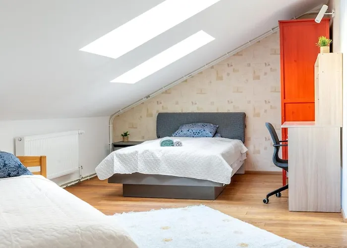 Large&cozy 2-level Apartament